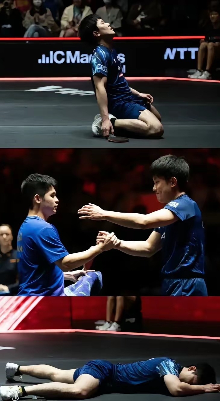 包含奥地利队碾压法国队,张本智和统治全场的词条 包含奥地利队碾压法国队,张本智和统治全场的词条